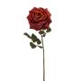 Rose sofie spray red 55cm