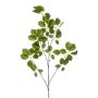 Baby schefflera spray green 120cm
