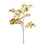 Sambucus spray brown 105cm