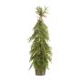 Cedar mix tree in pot 90cm
