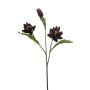 Artichoke spray purple 77cm
