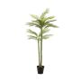 Palm phoenix deluxe x2 225cm (knock down packing)