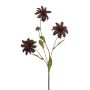 Rudbeckia spray burgundy 70cm
