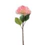 Sedum spray pink 43cm