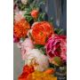 Peony spray coral 63cm