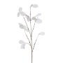 Lunaria spray white glitter 80cm