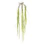 Amaranthus hanging spray green 150cm