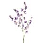 Lathyrus spray purple 113cm