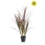 Grass UV burgundy/ dk green in pot 90cm
