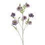Scabiosa spray purple 113cm