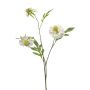 Scabiosa spray x3 white 62cm