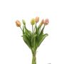 Tulip bundle x7 peach 40cm