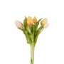 Tulip bundle x5 lt yellow 30cm
