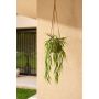 Grass hanging bush UV 80cm