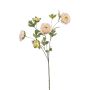 Ranunculus spray lt pink 78cm
