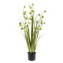 Grass pompom lt green 85cm