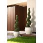 Boxwood spiral UV 120cm