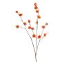 Hamamelis spray orange 110cm
