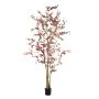 Tropaeolum plant burgundy 270cm (knock down packing)
