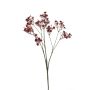 Gypsophila spray burgundy 68cm