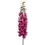 Digitalis spray beauty 120cm