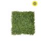 Boxwood mat weather resistant/UV tt green 50x50cm