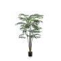 Palm bamboo 195cm (knock down packing)