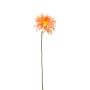 Gerbera mini spray peach 50cm