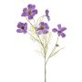 Cosmos spray purple 75cm