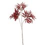 Acer japonese spray red 70cm