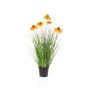 Rudbeckia grass orange in pot 60cm