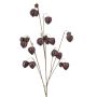 Physalis spray x10 purple 110cm