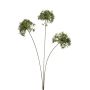 Allium spray green 62cm