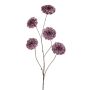 Zinnia spray x5 purple 110cm