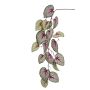 Begonia hanging spray grey/pink 110cm