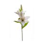 Lily spray white 65cm