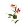 Gloriosa spray beauty/yellow 75cm