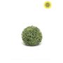Boxwood ball UV green d27cm