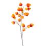 Physalis spray x4 orange 90cm