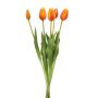 Tulip bundle x5 orange 43cm
