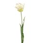 Tulip parrot spray white/green 68cm