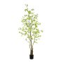 Tropaeolum plant green 245cm (knock down packing)