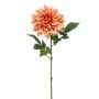 Dahlia spray RT peach 70cm