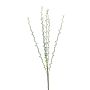 Salix spray green 82cm