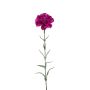 Dianthus spray purple 67cm
