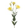 Eustoma spray yellow 82cm