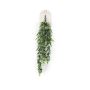 Eucalyptus hanging bush grey 80cm
