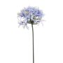Agapanthus spray blue 80cm