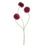 Dahlia pompon mini spray x3 beauty 68cm