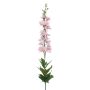 Delphinium spray RT pink 90cm